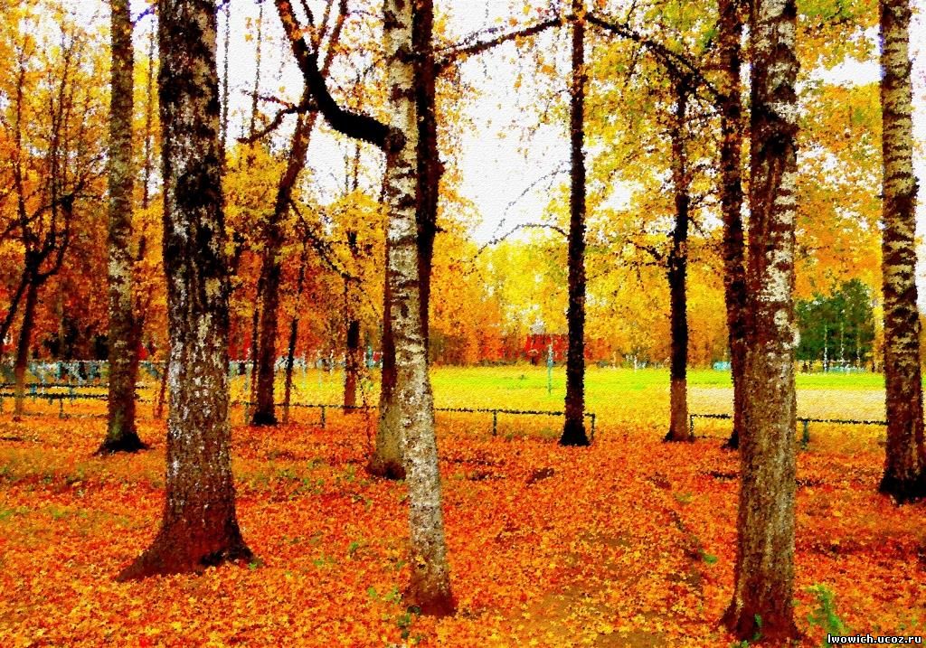 Осень в Новоселицах, октябрь 2014 года